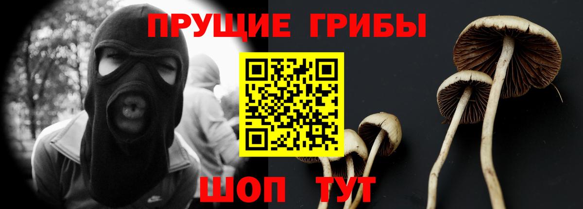 Сызрань  Псилоцибиновые грибы Psilocybine cubensis  Вход с VPN 
